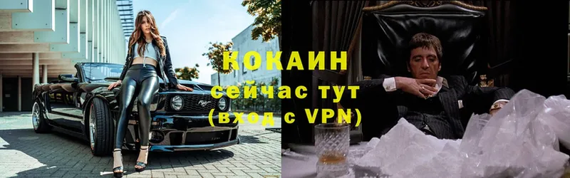 COCAIN Эквадор  Гулькевичи 